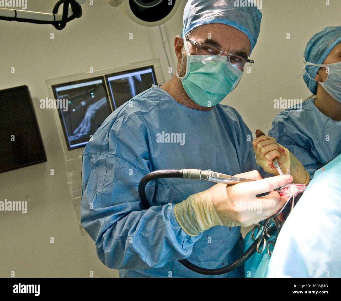 Dec 08, 2010 - Eashing , Angleterre, Royaume-Uni - MITZI, un berger allemand blanc de 3 ans, a été équipé d'une prothèse après avoir subi une blessure à la jambe en été. Le vétérinaire Noel Fitzpatrick a construit un point d'attache sur la jambe de Mitzi, puis un nouveau pied a été conçu en utilisant la simulation par ordinateur de la démarche du chien. Il est fabriqué à l'aide d'un procédé d'usinage spécial qui utilise l'analyse par éléments finis du pied et de l'implant pour permettre au pied de se casser avant l'implant ou l'os comme mécanisme de sécurité. SUR LA PHOTO : Dr NOEL FITZPATRICK en chirurgie, ne pas opérer sur Mitzy. (CR Banque D'Images