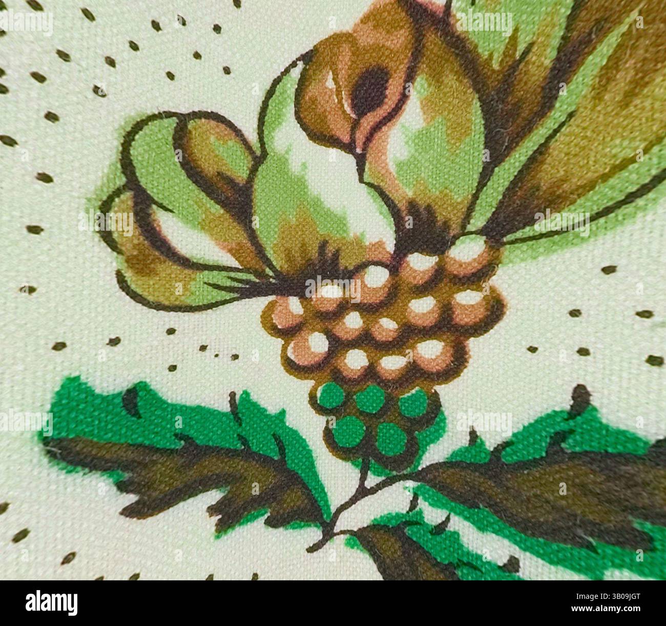 Un groupe de raisins est représenté avec des feuilles vertes vibrantes, entourées de points délicats, capturant un thème botanique., Un design circulaire avec un grand motif de fleurs dans les tons de vert, entouré de vignes délicates et de points, créant un motif floral complexe. L'effet global est fantaisiste et vintage-inspiré. Art classique avec une touche moderne réinventé par Artotop, tissus français transformés, première moitié du XIXe siècle, art classique avec une touche moderne réinventé par Artotop Banque D'Images