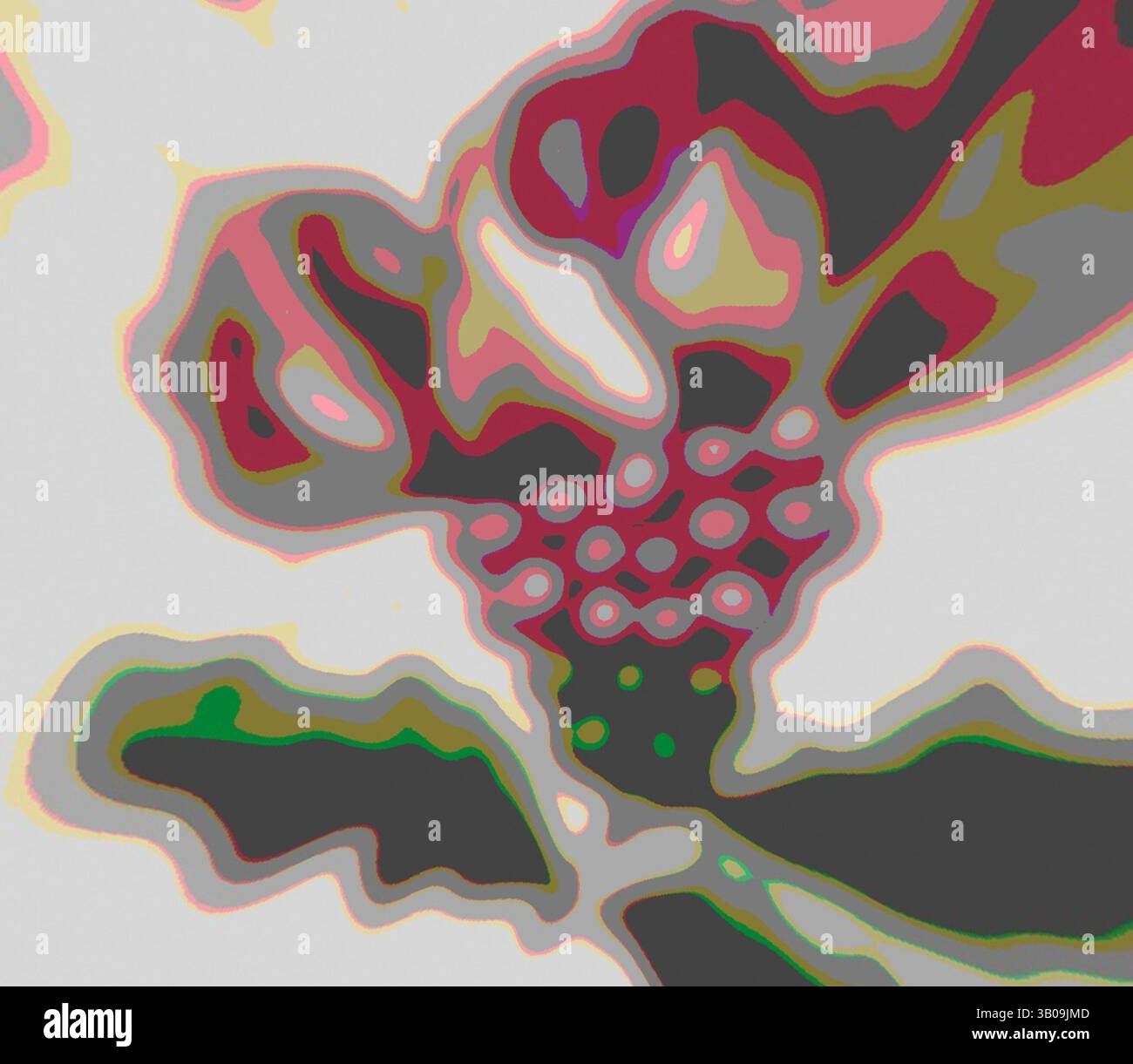 Une représentation stylisée d'une fleur avec des pétales vibrants et un groupe de formes rondes distinctives en son centre, entouré de feuilles fluides qui améliorent son élégance organique. La composition globale présente un mélange de couleurs douces et de contours lisses, créant une qualité onirique., Une plaque circulaire ornée d'un motif floral coloré, avec une fleur proéminente au centre entourée de motifs et de formes abstraits. Art classique avec une touche moderne réinventé par Artotop, tissus français transformés, première moitié du XIXe siècle, art classique avec une touche moderne réinventé par Artotop Banque D'Images