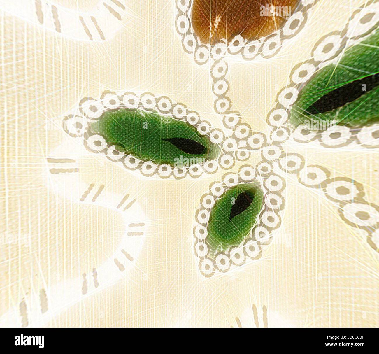 Un motif complexe avec des formes de fleurs stylisées en vert et marron, entouré de détails blancs délicats qui améliorent l'élégance et la texture du design., Un motif circulaire délicat en tissu avec des motifs floraux complexes dans des tons terreux, complété par des feuilles vertes et des contours ondulés. Art classique avec une touche moderne réinventé par Artotop, tissus français transformés, première moitié du XIXe siècle, art classique avec une touche moderne réinventé par Artotop Banque D'Images