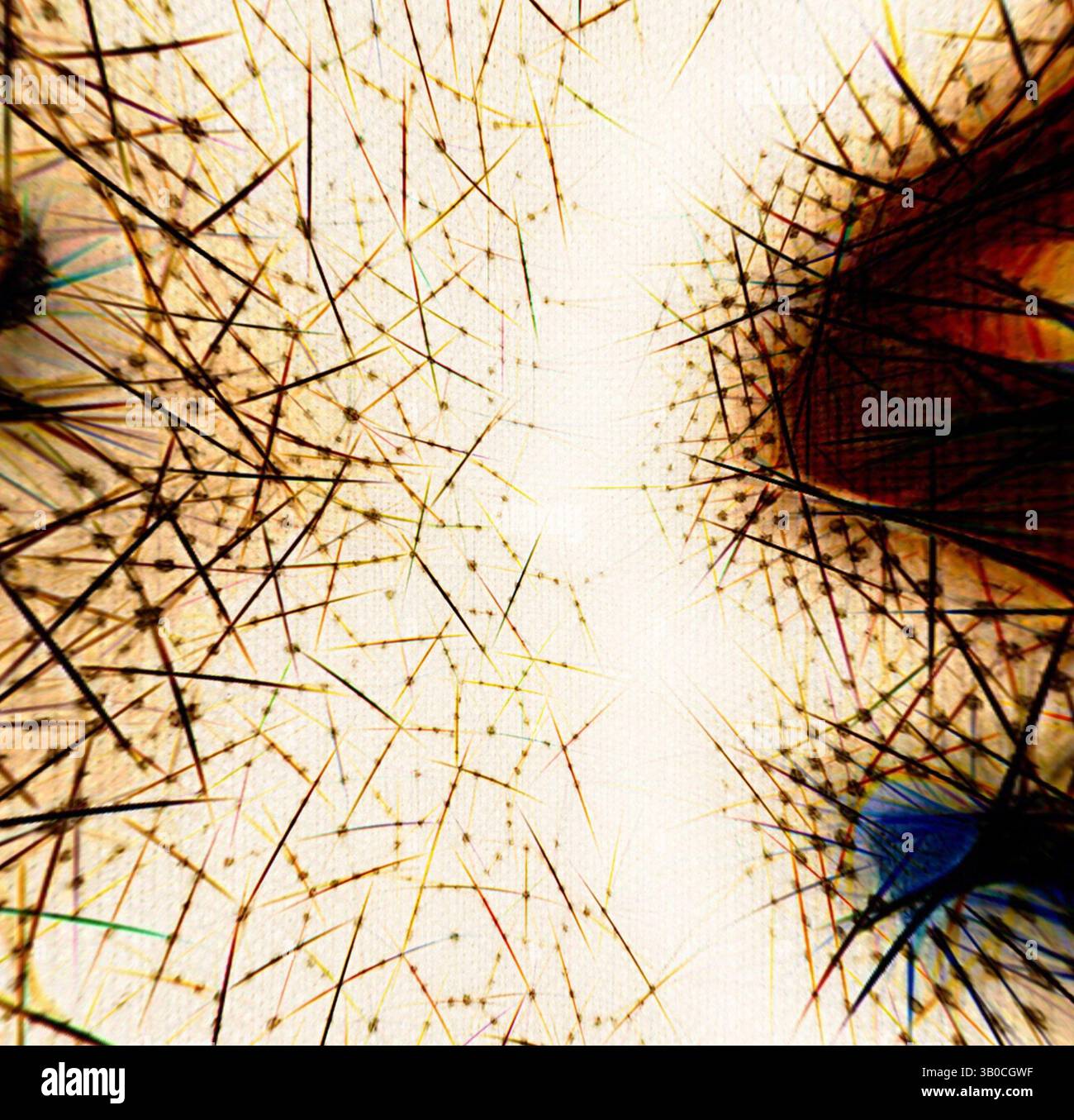 Un motif fascinant de lignes complexes et de textures convergeant au centre, créant une expérience visuelle presque éthérée remplie d'énergie dynamique et de profondeur., un design complexe avec des éléments floraux et des motifs délicats, semblables à une toile, tous harmonieusement disposés dans une composition circulaire, créant un contraste visuel captivant. Art classique avec une touche moderne réinventé par Artotop, tissus français transformés, première moitié du XIXe siècle, art classique avec une touche moderne réinventé par Artotop Banque D'Images