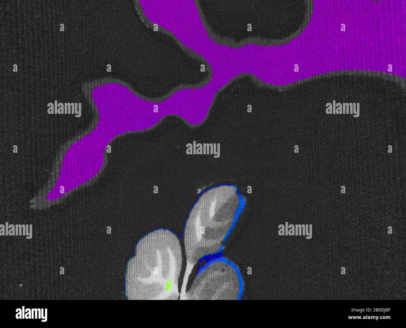 Un design floral vibrant comporte une fleur stylisée dans des tons de gris, contrastée par des accents violets et bleus audacieux qui créent un jeu accrocheur de couleur et de forme., Un design circulaire avec des formes abstraites et fluides dans des tons de violet et de noir, accentuées de délicates feuilles grises qui ajoutent une touche de nature aux motifs audacieux. Art classique avec une touche moderne réinventé par Artotop, tissus français transformés, première moitié du XIXe siècle, art classique avec une touche moderne réinventé par Artotop Banque D'Images