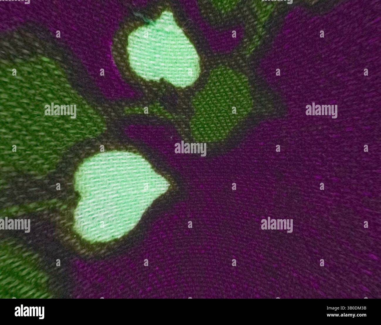 Une vue rapprochée d'une surface texturée avec des teintes vertes vives et violettes profondes, complétée par des accents pâles ressemblant à des formes de fleurs abstraites., Un motif vibrant avec des grappes de feuilles vertes stylisées entrelacées avec des formes blanches délicates sur un riche fond violet. Art classique avec une touche moderne réinventé par Artotop, tissus français transformés, première moitié du XIXe siècle, art classique avec une touche moderne réinventé par Artotop Banque D'Images