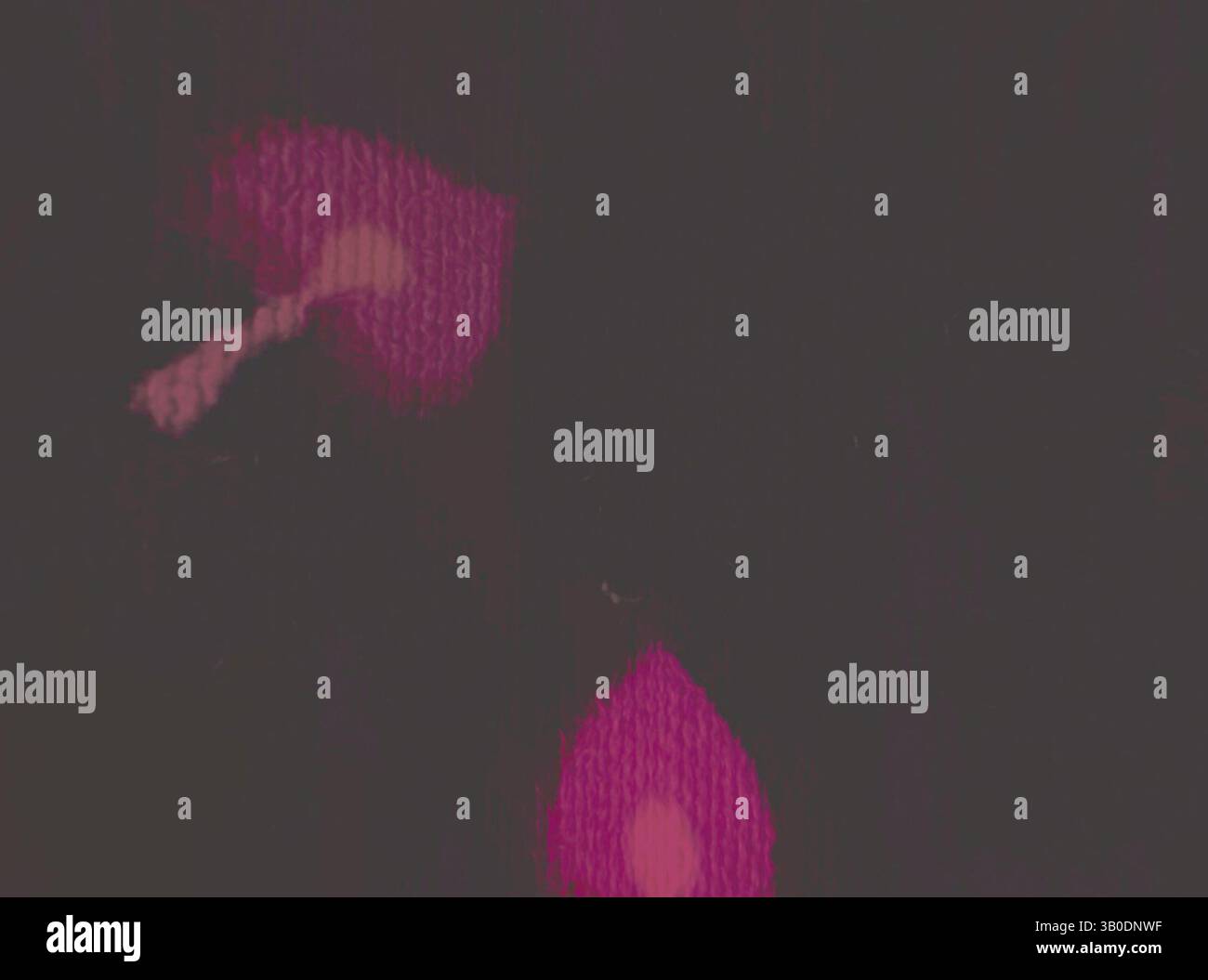 Une surface texturée avec des motifs fantaisistes dans des tons de violet profond et des notes de teintes plus claires, créant une composition abstraite et atmosphérique., Un motif circulaire avec des coeurs roses vibrants dispersés sur un fond sombre, avec des touches occasionnelles de jaune et d'orange. Art classique avec une touche moderne réinventé par Artotop, tissus français transformés, première moitié du XIXe siècle, art classique avec une touche moderne réinventé par Artotop Banque D'Images