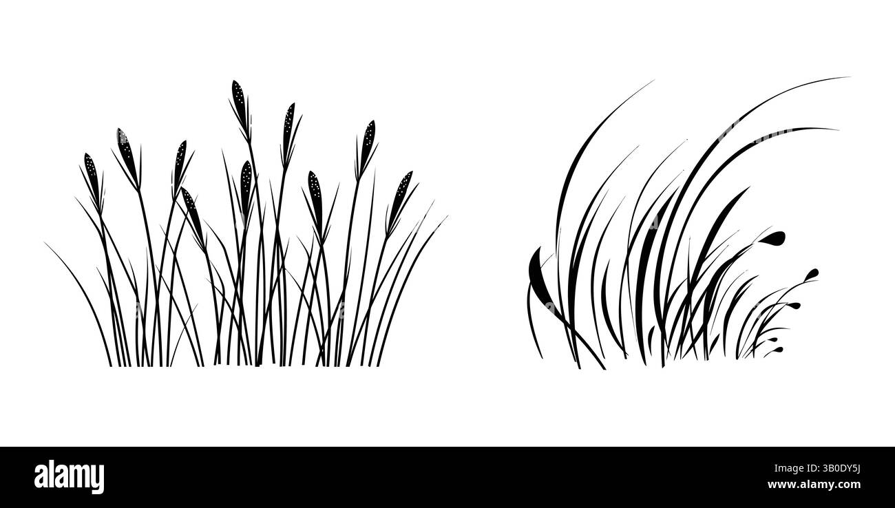 Un dessin de ligne vectorielle simple d'un bouquet d'herbe, contour, silhouette, vecteur, illustration, isolé sur fond blanc Illustration de Vecteur