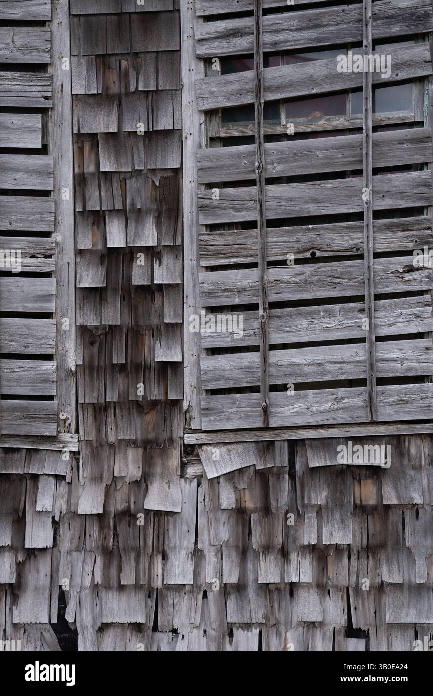 fermer la récolte verticale noir et blanc de la fenêtre arborée de l'ancien bâtiment avec des bardeaux de bois ou des tremblements en pourrissant par les intempéries et tombant de la verticale Banque D'Images