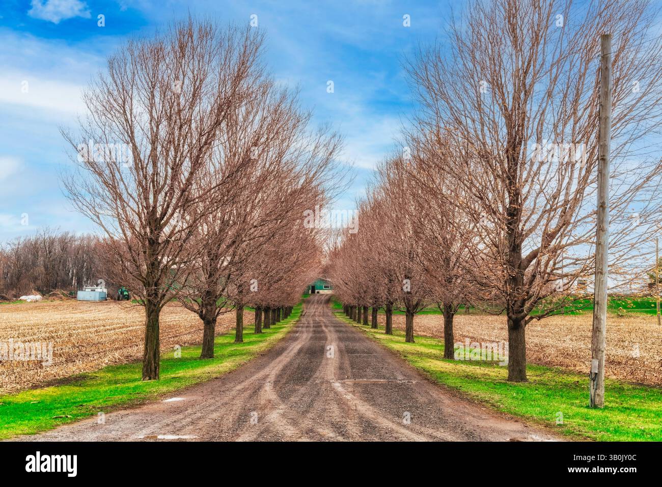 Country Farm Driveway - climat printanier Banque D'Images