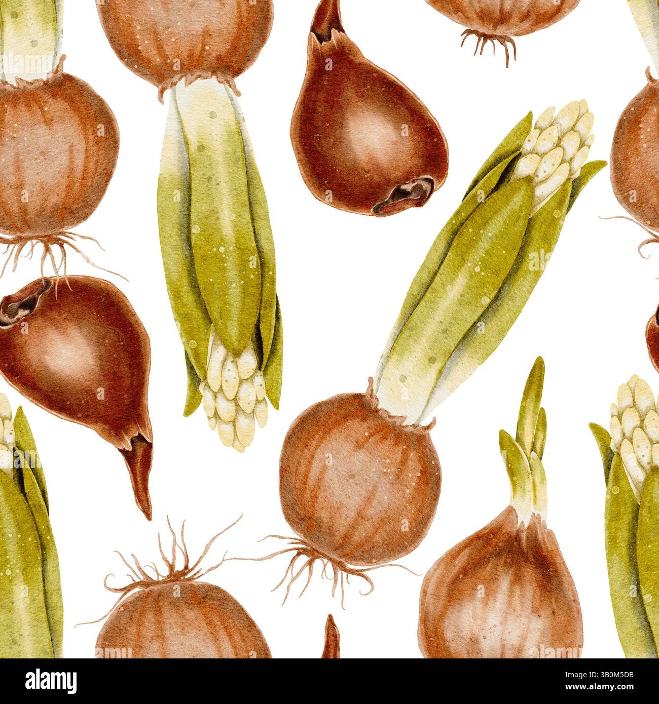 Bulbe de fleur avec des feuilles vertes et des boutons et des racines sans couture. L'illustration aquarelle convient aux sujets liés à l'écologie, au jardinage, à la nature. Les oignons, une épice pour cuisiner. Banque D'Images