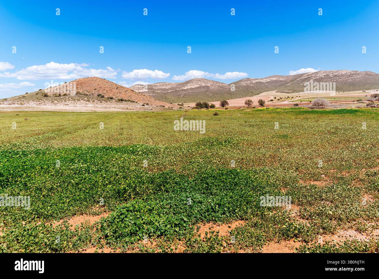 Dans cette région semi-aride, une riche culture de l’eau a historiquement permis l’exploitation agricole des zones plates. Rodalquilar, Níjar, Almería, A. Banque D'Images