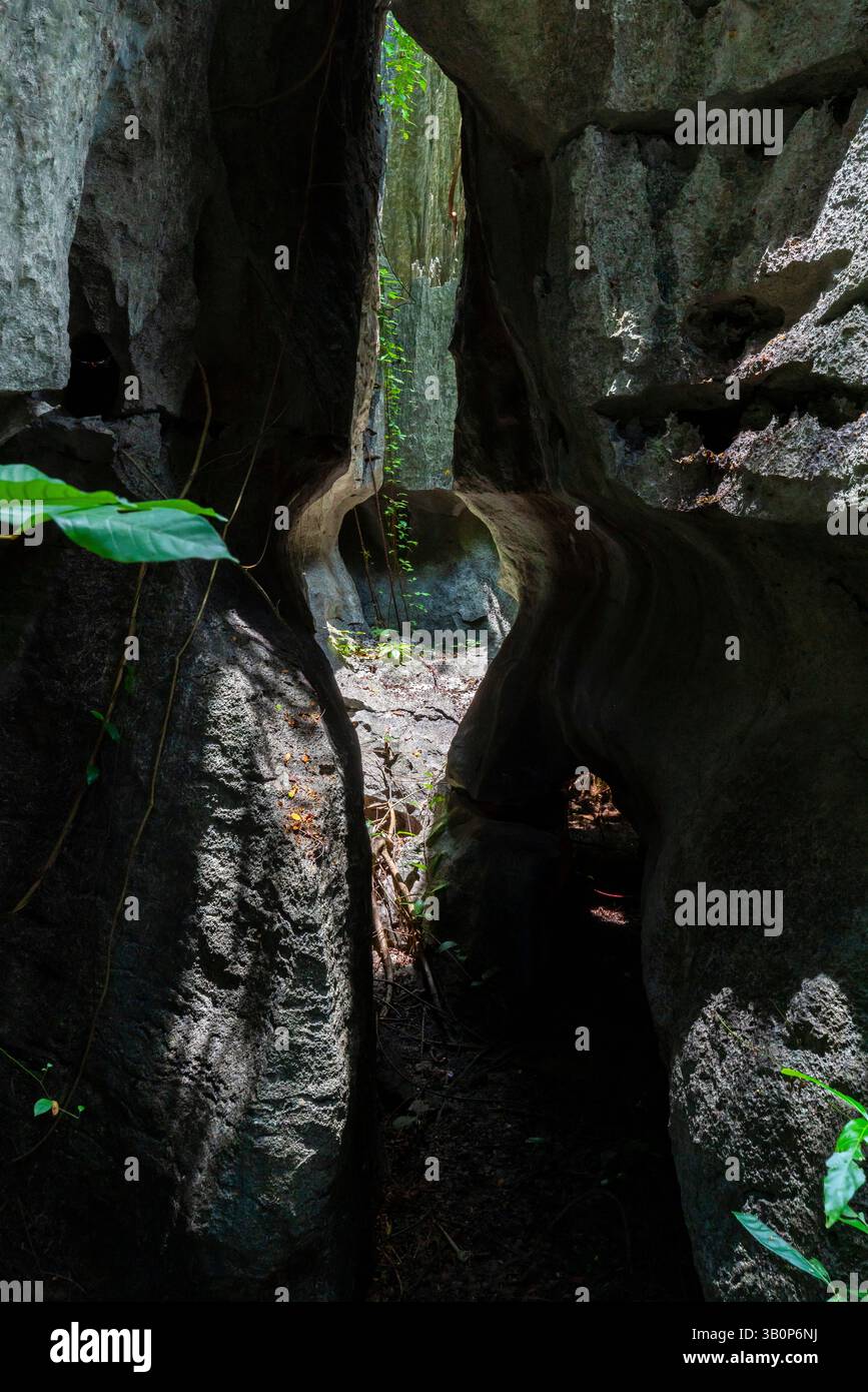La zone du géoparc Maros Pangkep, forêt de pierres de kars à Maros, Sulawesi du Sud, Indonésie. En dehors de Makassar se trouve Rammang-Rammang, qui abrite l'un des pays du monde Banque D'Images