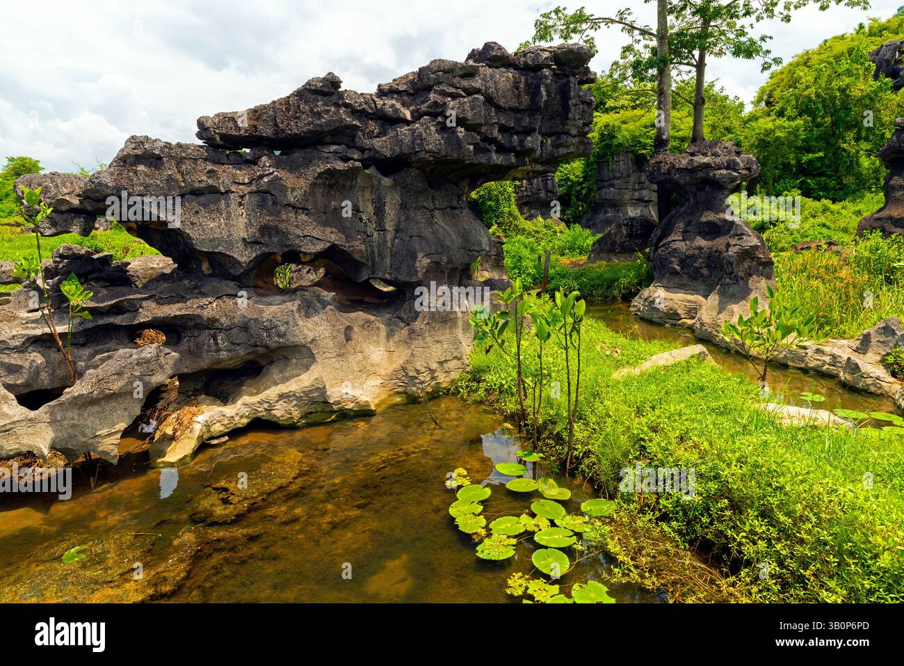 La zone du géoparc Maros Pangkep, forêt de pierres de kars à Maros, Sulawesi du Sud, Indonésie. En dehors de Makassar se trouve Rammang-Rammang, qui abrite l'un des pays du monde Banque D'Images