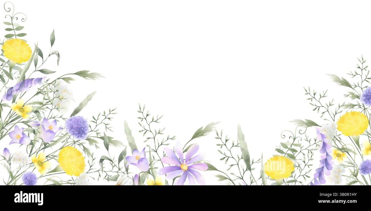 Fleurs sauvages pissenlit, chellfleur, papillon, pois de souris et herbes de prairie. Illustration de cadre horizontal rectangulaire isolé d'aquarelle dessinée à la main Banque D'Images