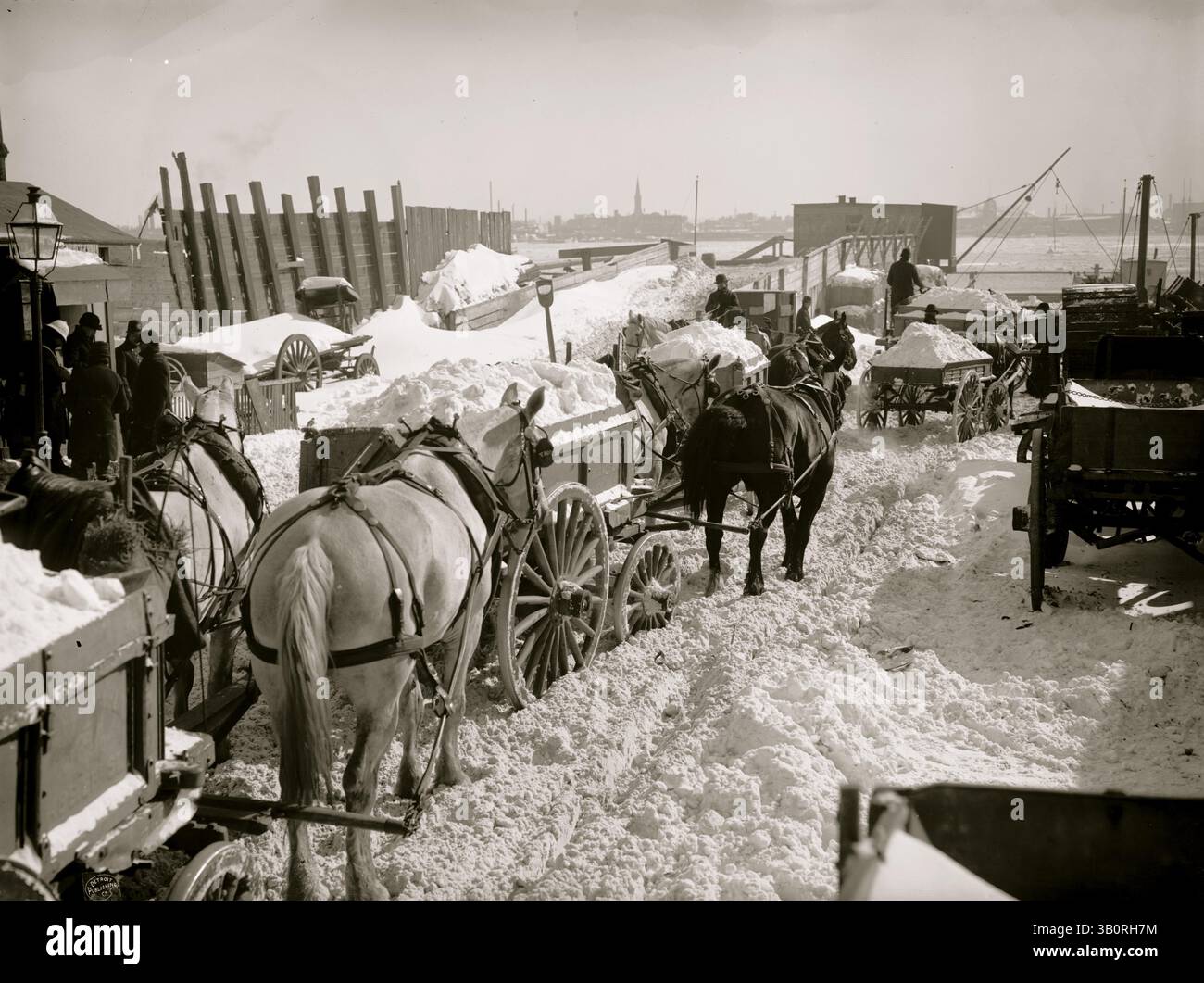 1888 - New York, NY, É.-U. - des charrettes transportent la neige et la glace dans la rivière East River pour les déverser dans l'État de New York ; des charrettes tirées par des chevaux sont chargées. (Crédit image : © BuyEnlarge/ZUMAPRESS.com) Banque D'Images
