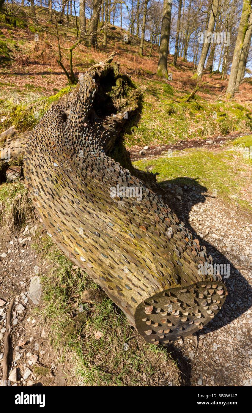 - Arbre d'argent vieux tronc d'arbre tombé couverts dans les pièces qui ont été martelées dans pour la bonne chance, Lake Road, Cumbria, England, UK Banque D'Images