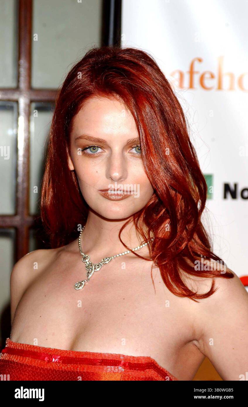 14 NOVEMBRE 2006 - NEW YORK, NEW YORK, ETATS-UNIS - I11378KBA.''CHICAGO'' CÉLÈBRE SA 10ÈME ANNÉE À BROADWAY AVEC UN GALA DE PRESTATIONS AU PROFIT DE L'ORGANISATION 'SAFEHORIZONS'. LE THÉÂTRE AMBASSADOR , NEW YORK New York. 11-14-2006. / / 2006.LYDIA HEARST(crédit image : © Ken Babolocsay/Globe photos/ZUMAPRESS.com) Banque D'Images