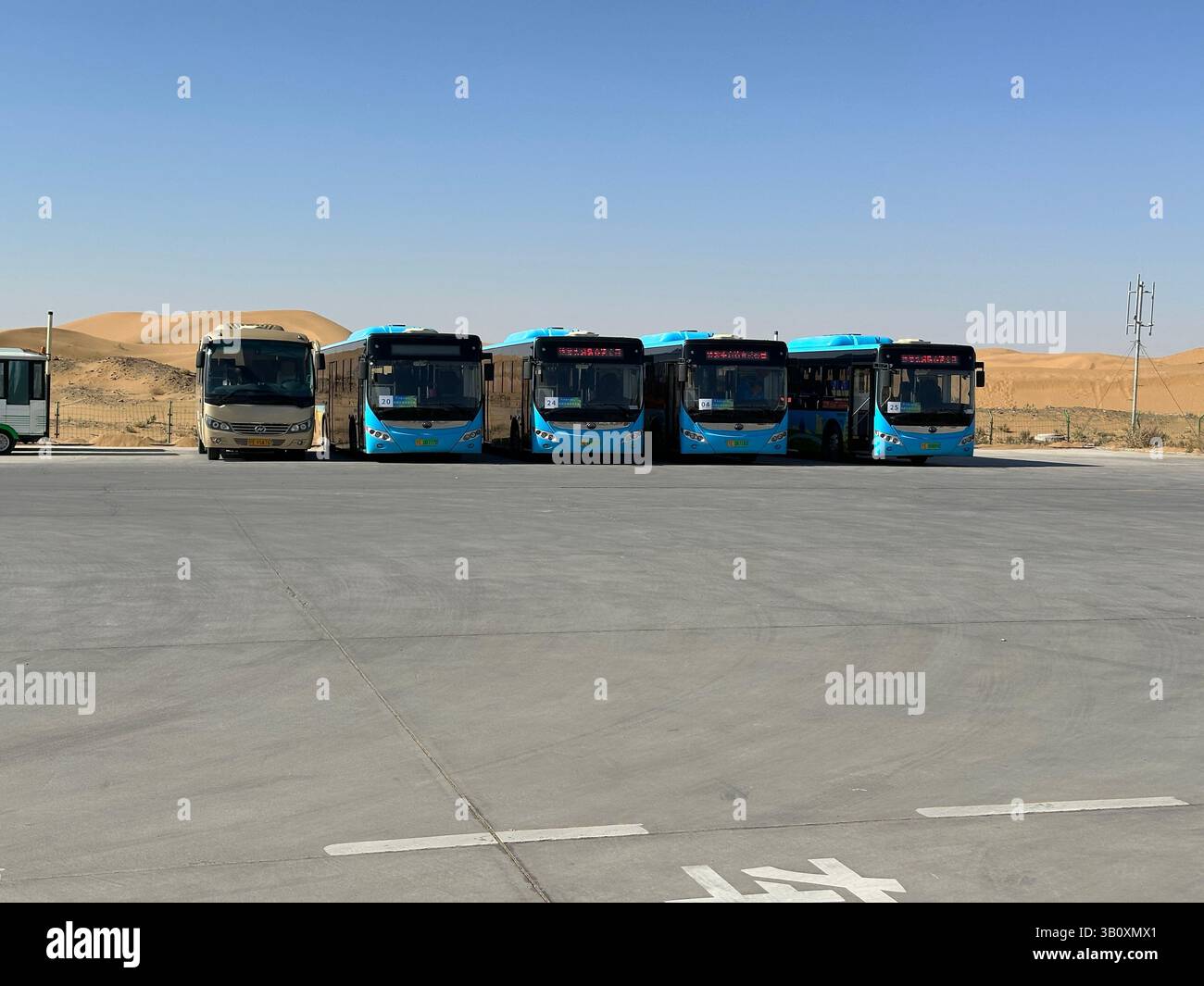 Plusieurs bus bleus sont soigneusement garés sur une surface en béton, prêts pour les passagers. Yinchuan, Chine - Image de stock capturée avec un smartphone