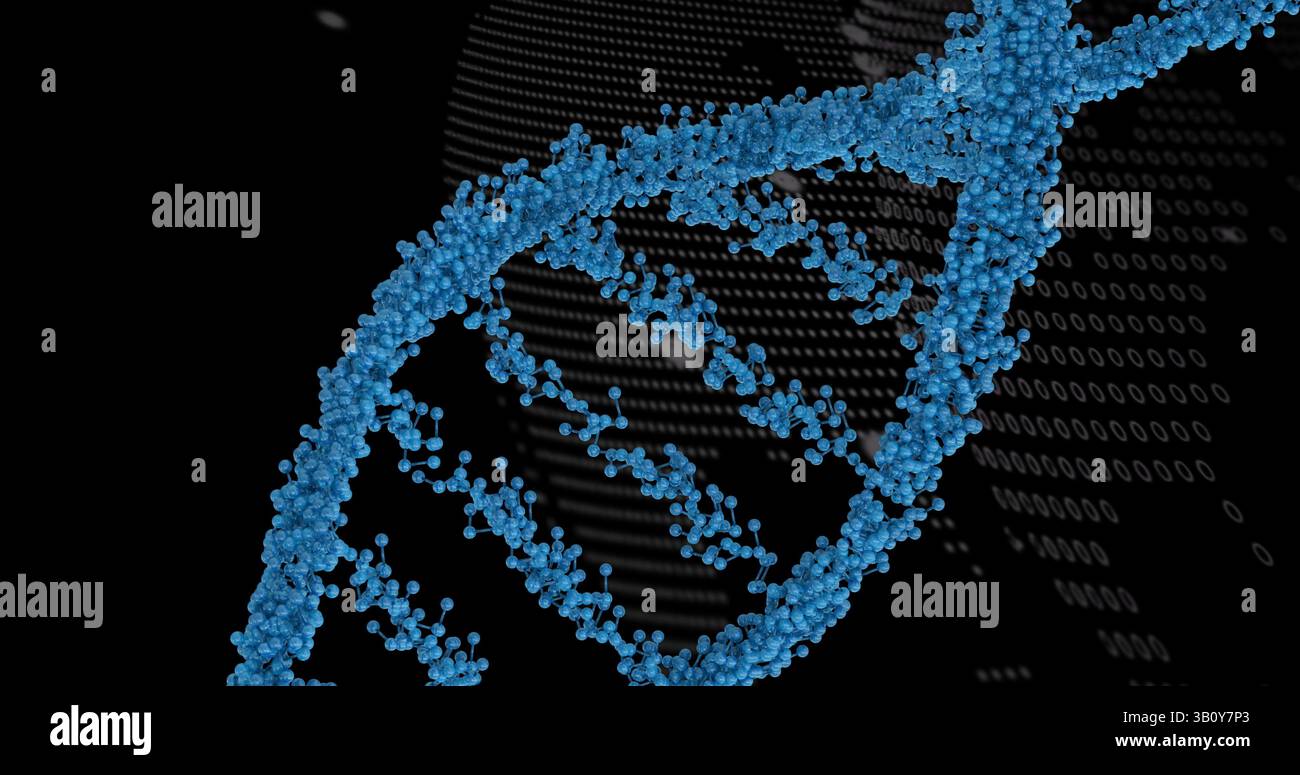 Structure d'ADN tournant sur le traitement de données de codage binaire sur fond noir Banque D'Images