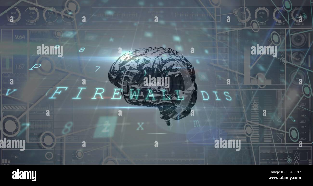 Image du cerveau et du réseau de connexions sur fond gris Banque D'Images