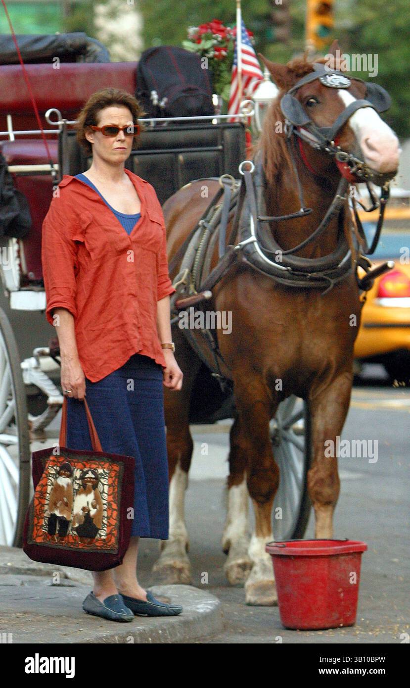 16 juillet 2003 ; New York, NY, États-Unis ; whoa Nelly ! Ce cheval semble surpris par la vue de SIGOURNEY WEAVER, 3 fois nominé aux Oscars, habillé comme un hobo. Et qu'y a-t-il avec le sac à main de la star 'extraterrestre' ? Est-ce juste nous, ou est-ce que ceux-ci ressemblent à des Ewoks des films "Star Wars" ! (Crédit image : Sharkpixs/ZUMAPRESS.com) Banque D'Images