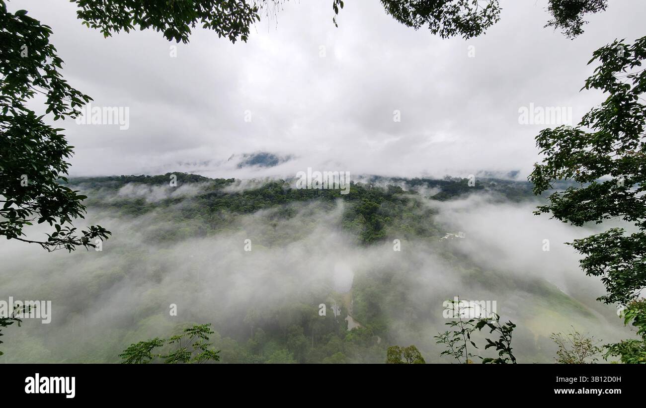 Vue en angle élevé du paysage brumeux dans la vallée de Danum Lahad Datu Sabah Banque D'Images