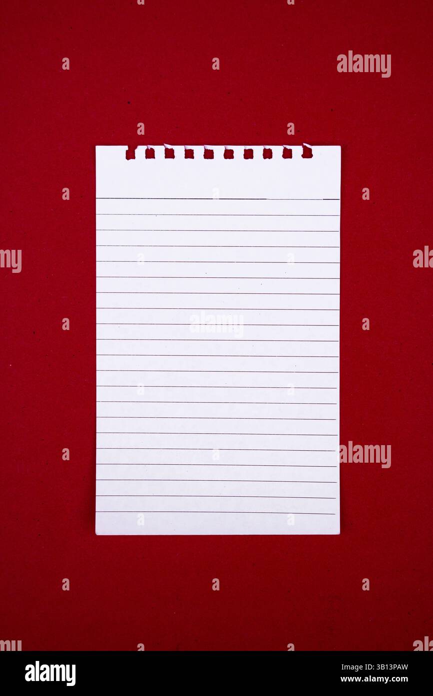 Une pose à plat simple et visuellement frappante d'un cahier vierge et d'un stylo placé sur un fond rouge. Utile à des fins éducatives, motivantes ou professionnelles Banque D'Images