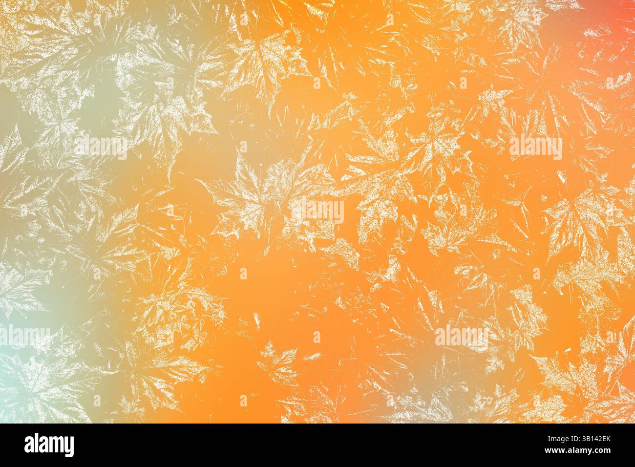 Fond de motif automnal de feuilles d'érable squelette blanc abstrait Banque D'Images