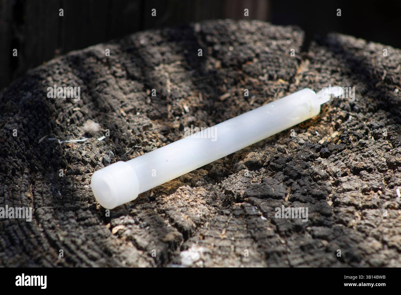 morceau de déchets en plastique sur la souche d'arbre Banque D'Images