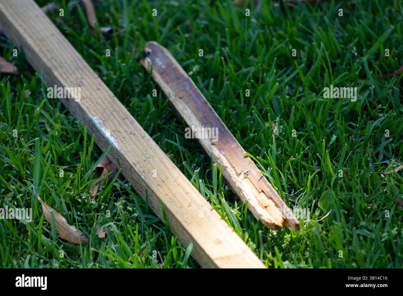 piquet en bois cassé posé sur l'herbe Banque D'Images