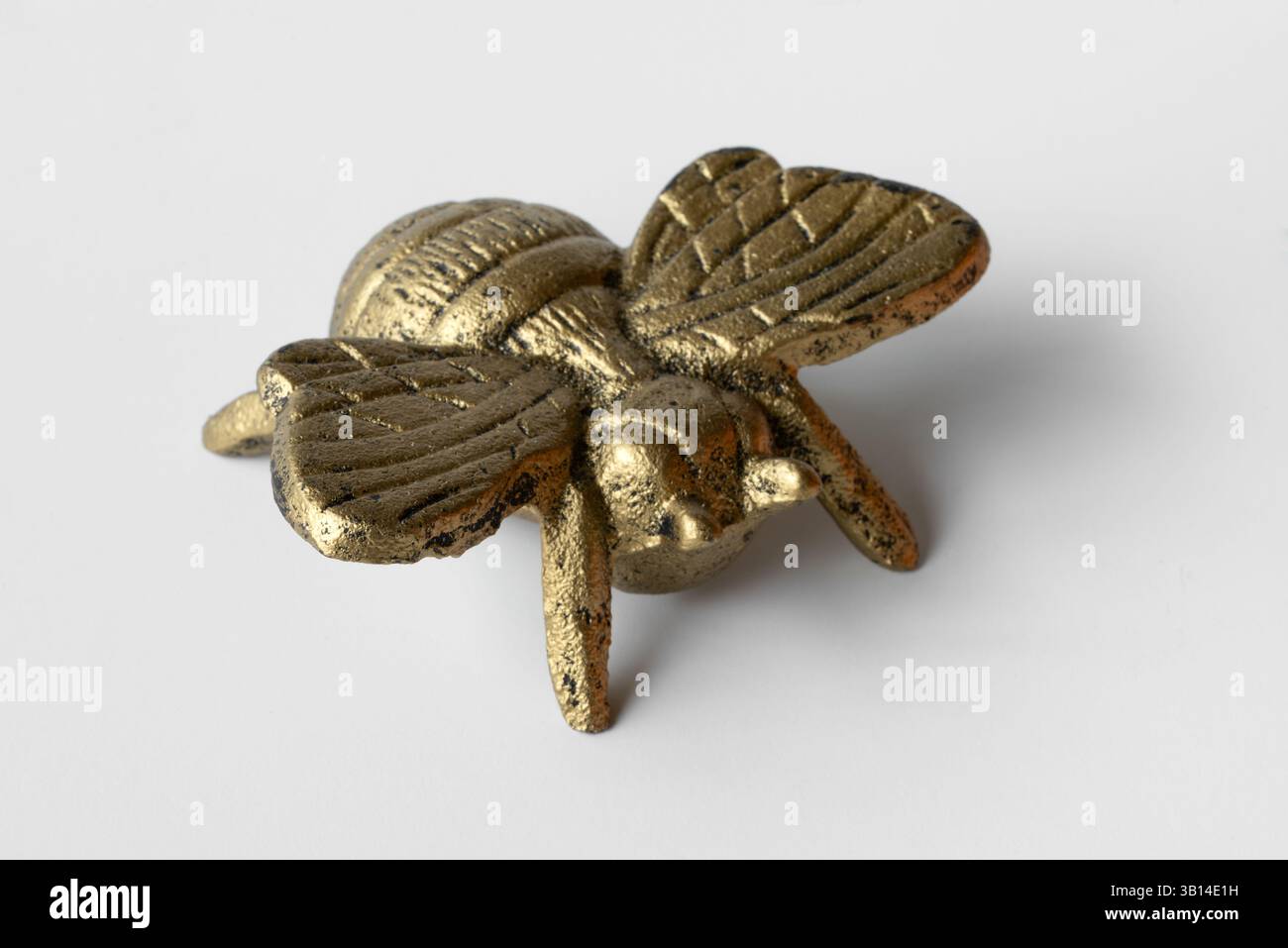 Laiton Bumble Bee Banque D'Images