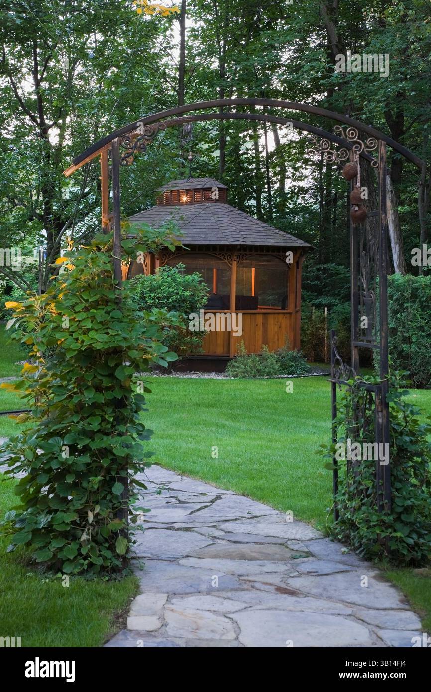 Chemin de dalles grises et bronzées à travers la tonnelle en métal noir couverte d'escalade Vitis - vignes et gazebo dans le jardin de l'arrière-cour en été au crépuscule. Banque D'Images
