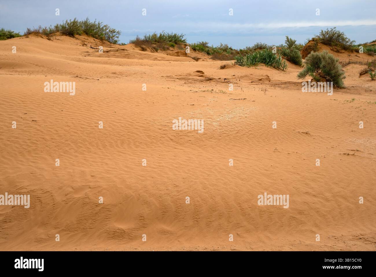 Dunes de sable dans les steppes de Kalmoukie, Russie Banque D'Images