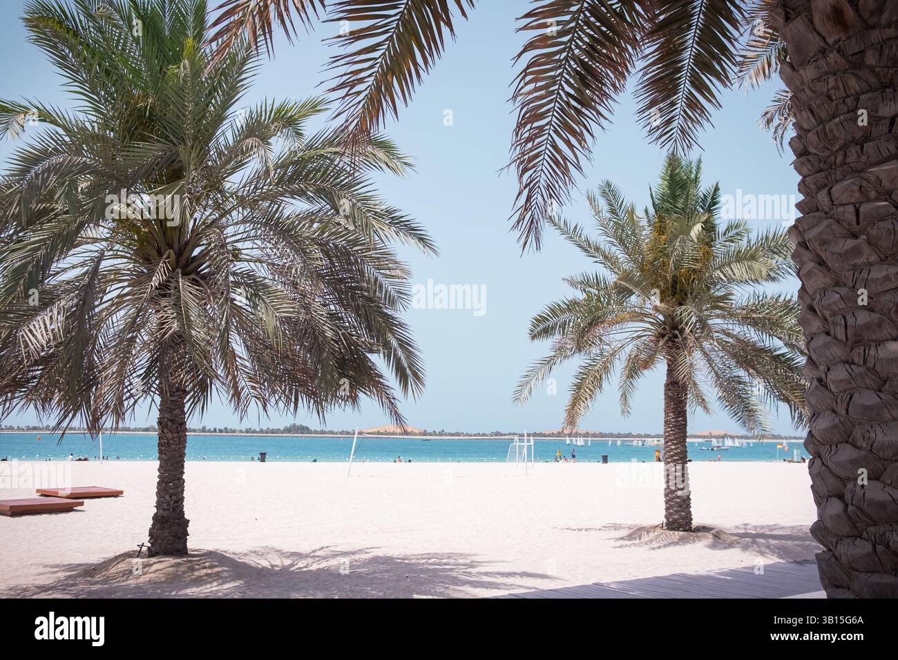 Plage de corniche de la mer du golfe d'Arabie.. Abu Dhabi, Emirats Arabes Unis, vue panoramique sur la plage de sable avec des palmiers. Eau turquoise et san blanc Banque D'Images