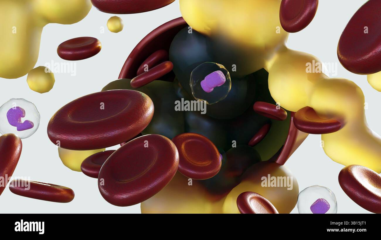 Rendu 3d de la section transversale d'un vaisseau sanguin où une quantité significative de plasma sanguin est présente avec des globules rouges et blancs. Banque D'Images