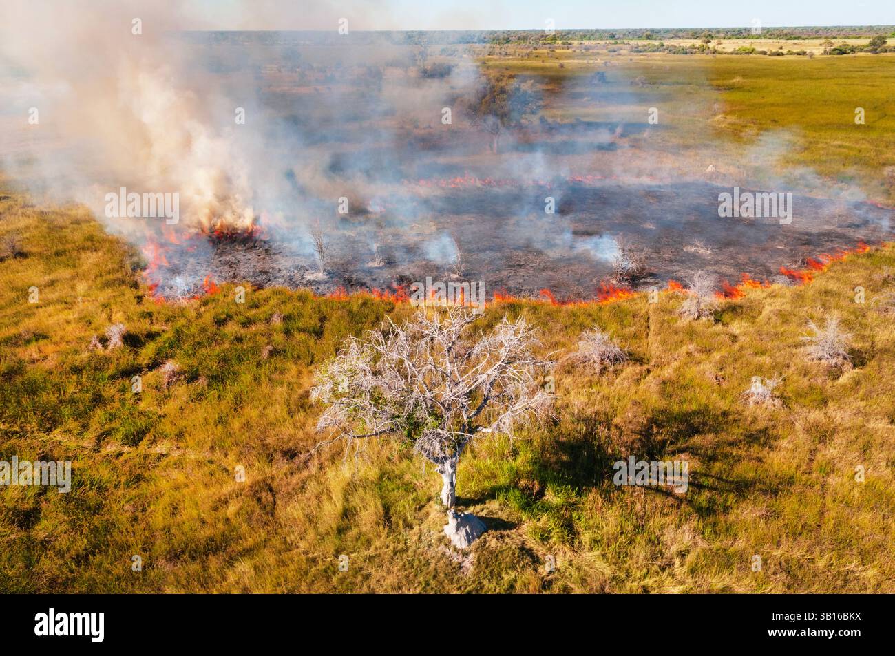 Vue aérienne d'un feu de brousse dans le delta de l'Okavango, Botswana, delta de l'Okavango Banque D'Images