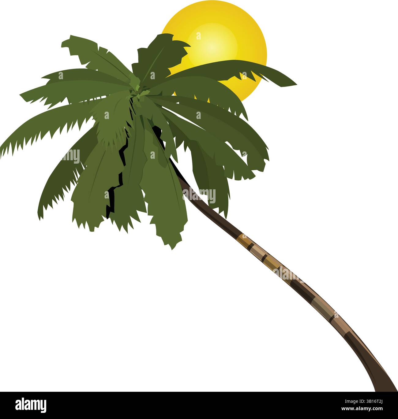 Illustration vectorielle d'un palmier tropical avec le soleil, parfait pour les thèmes de plage, les conceptions de vacances, les arrière-plans d'été, les paysages tropicaux Illustration de Vecteur