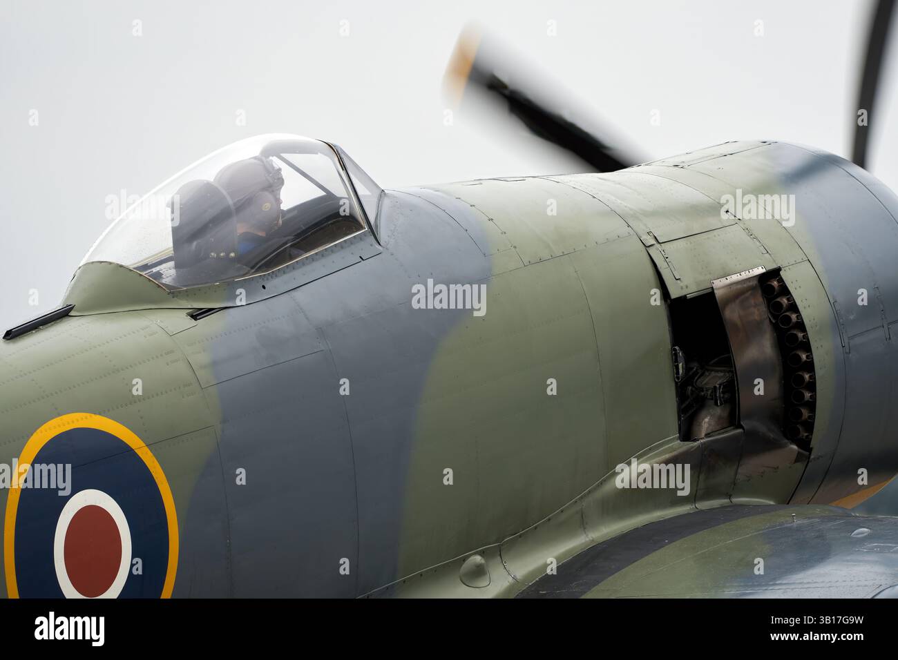 Gros plan du poste de pilotage et du nez d'un avion militaire Hawker Sea Fury, avec l'hélice tournant et un pilote visible à l'intérieur à Duxford, en Angleterre. Banque D'Images