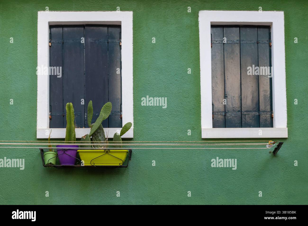 Façade verte avec des cactus sur l'île de Burano Banque D'Images