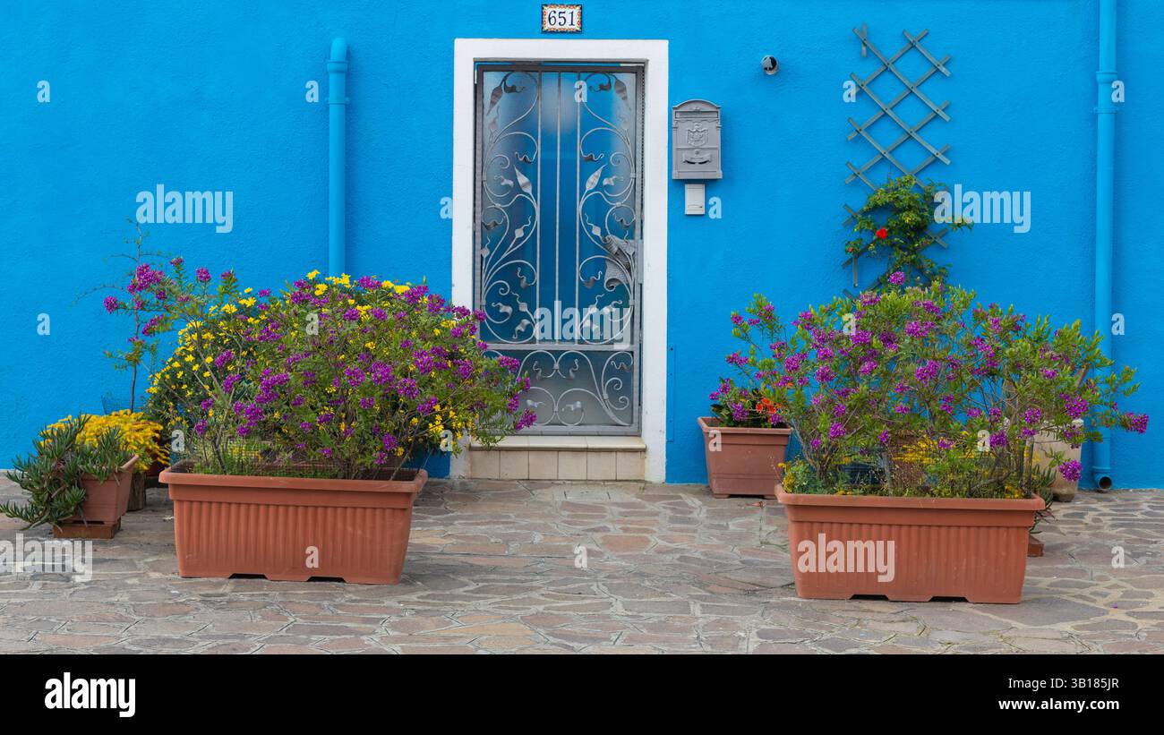 Façade de maison bleue avec des fleurs à Burano Banque D'Images