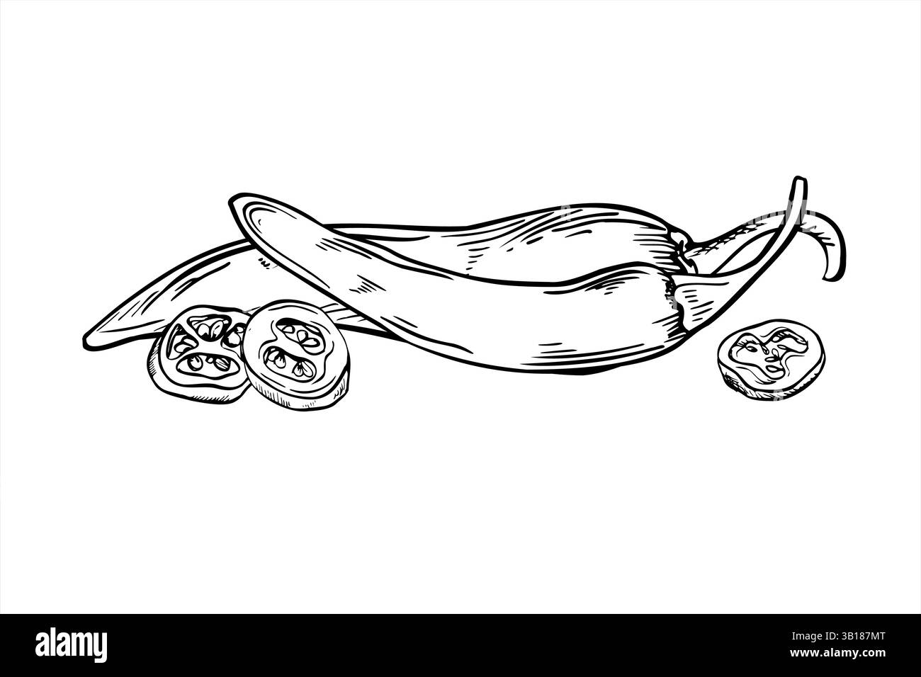 Illustration d'art de ligne de poivre vectorielle peinte par des encres noires. Entier et tranches de jalapeno, Cayenne, Chili croquis réaliste. Légume pour épicé Illustration de Vecteur