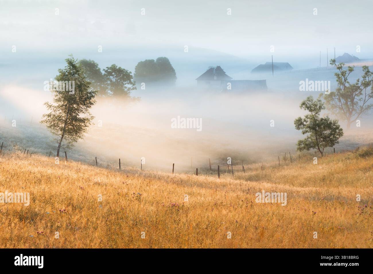Matinée paisible à Cheia, Roumanie, avec de la brume s'élevant sur les collines, et paysage sombre dans les Carpates Banque D'Images