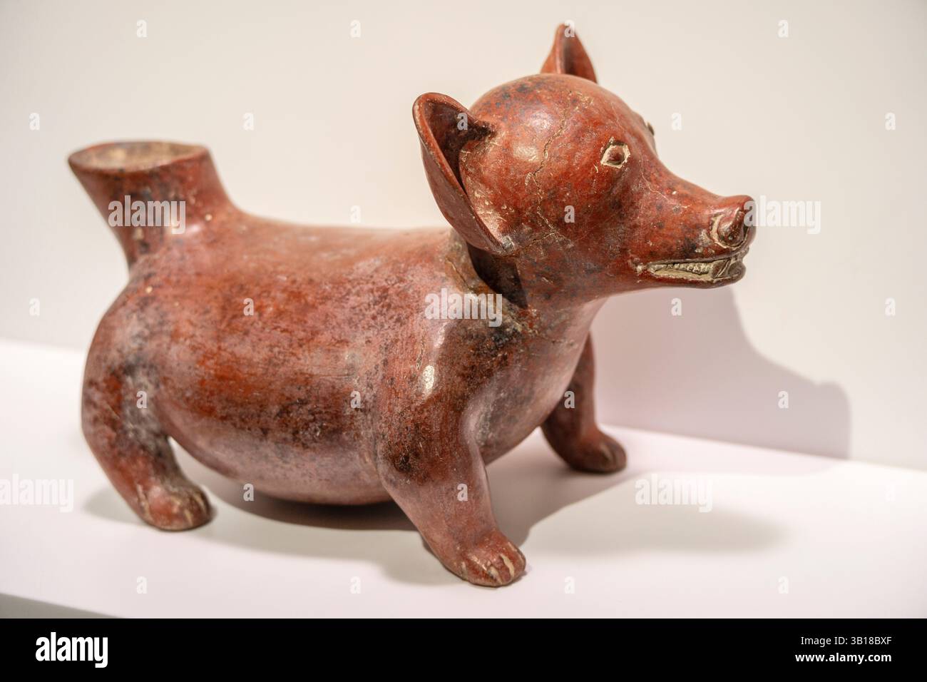 Chien, Colima, Mexique, entre deux cents avant JC et trois cents après JC, céramique, MuEC, Barcelone, Catalogne, Espagne. Banque D'Images Chien, Colima, Mexique, entre deux cents avant JC et trois cents après JC, céramique, MuEC, Barcelone, Catalogne, Espagne. Banque D'Images