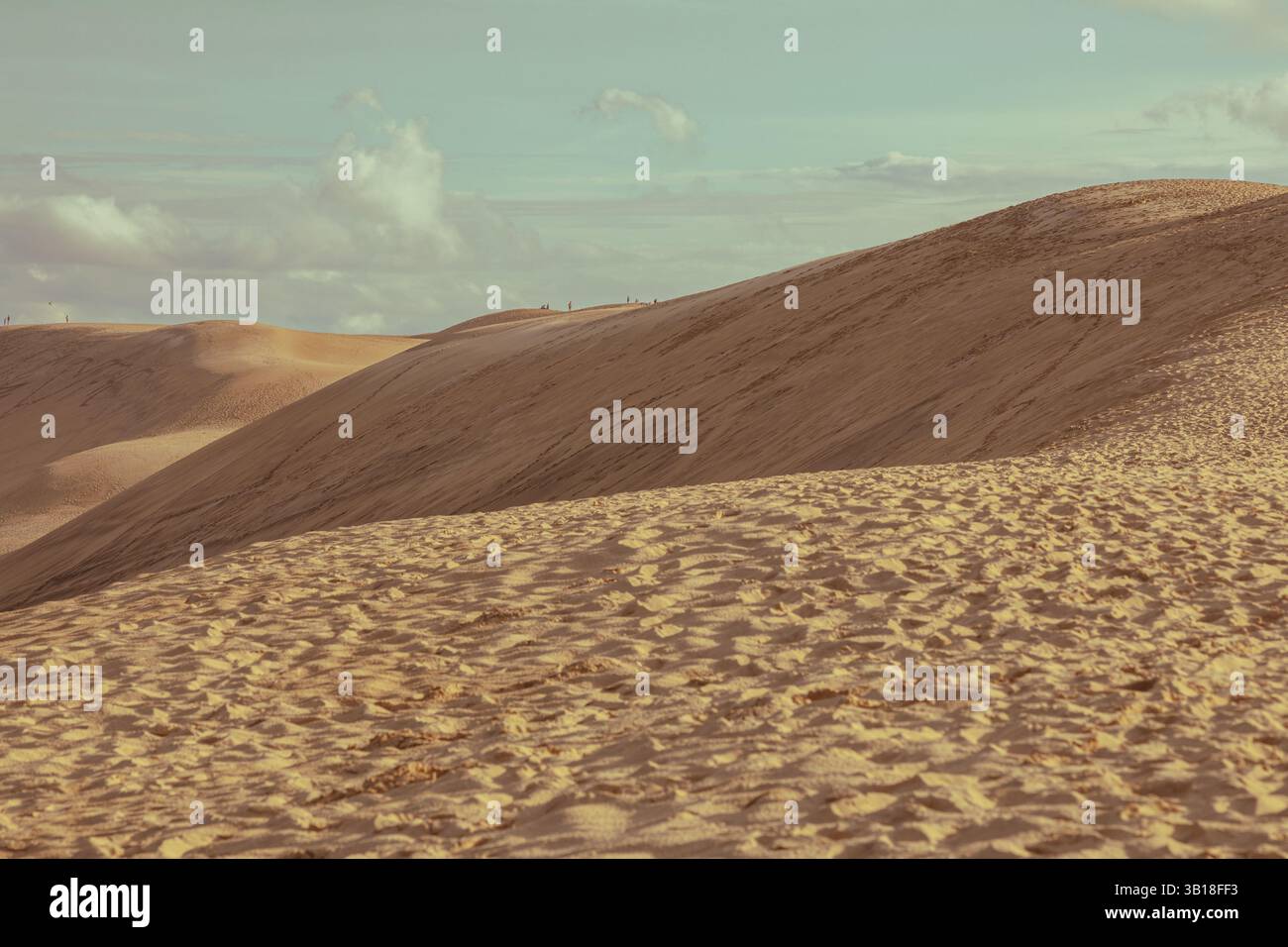 Vue panoramique depuis le sommet de la Dune du Pilat (Dune du Pilat), Nouvelle-Aquitaine, France, avec sable doré Banque D'Images