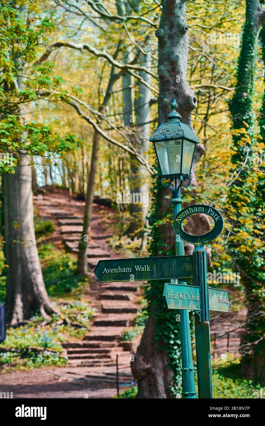 Panneau et poteau de Lam victorien dans les bois, Royaume-Uni Banque D'Images