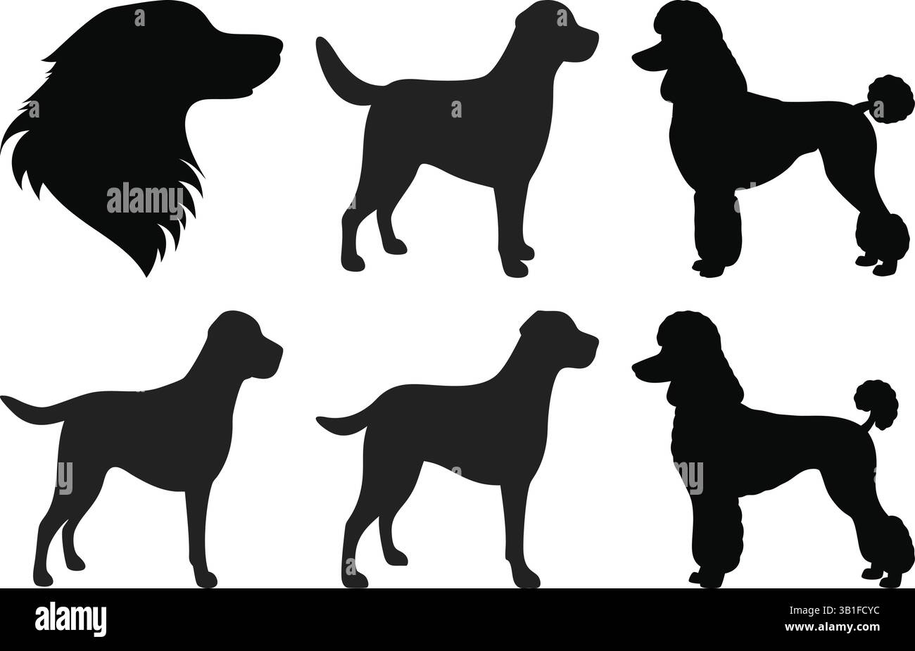 Races de chiens Silhouette Vector Pack pour la conception | formes de chien | Art pour animaux de compagnie | découpe canine | illustration de race Illustration de Vecteur