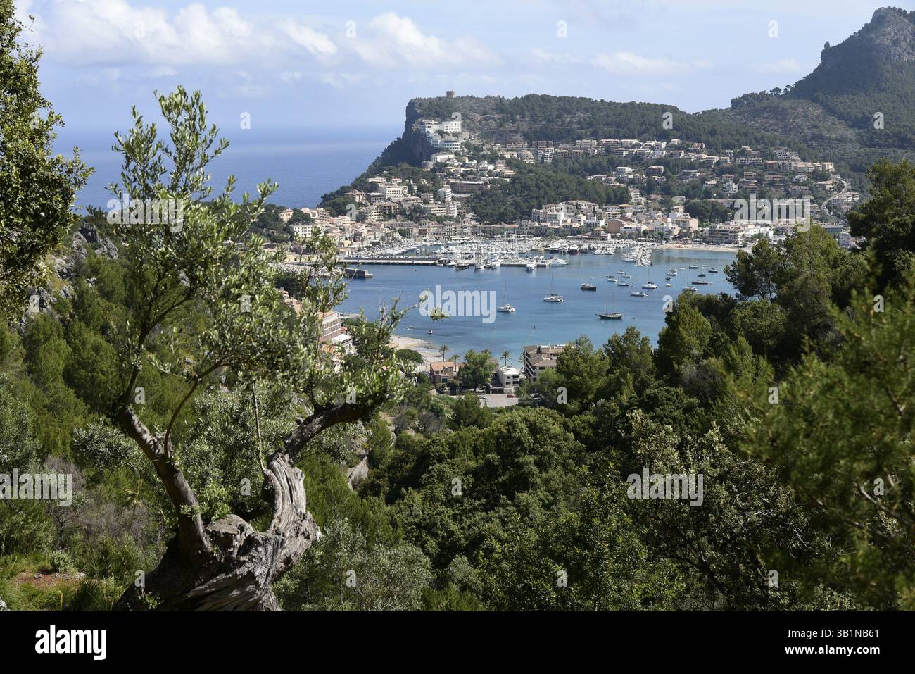 Panorama du paysage, Baie de Puerto Soller, Port de Soller, Majorque, Majorque, Îles Baléares, îles Baléares, mer Méditerranée, Espagne, Europ Banque D'Images