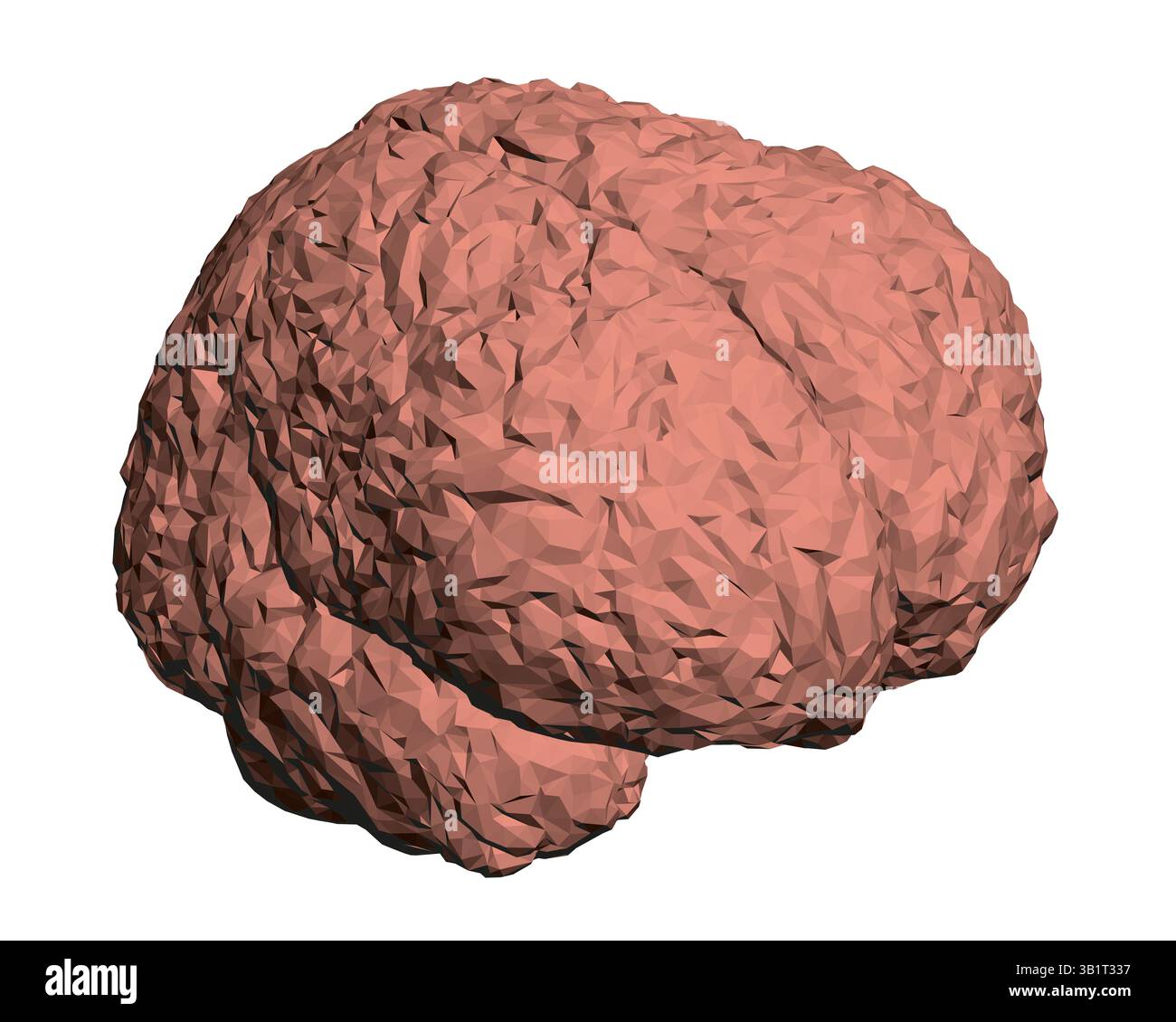 Un cerveau est représenté dans un modèle 3D, avec une texture rugueuse et une couleur rougeâtre. Le cerveau est représenté comme un objet solide, sans détails ou caractéristiques visibles Illustration de Vecteur