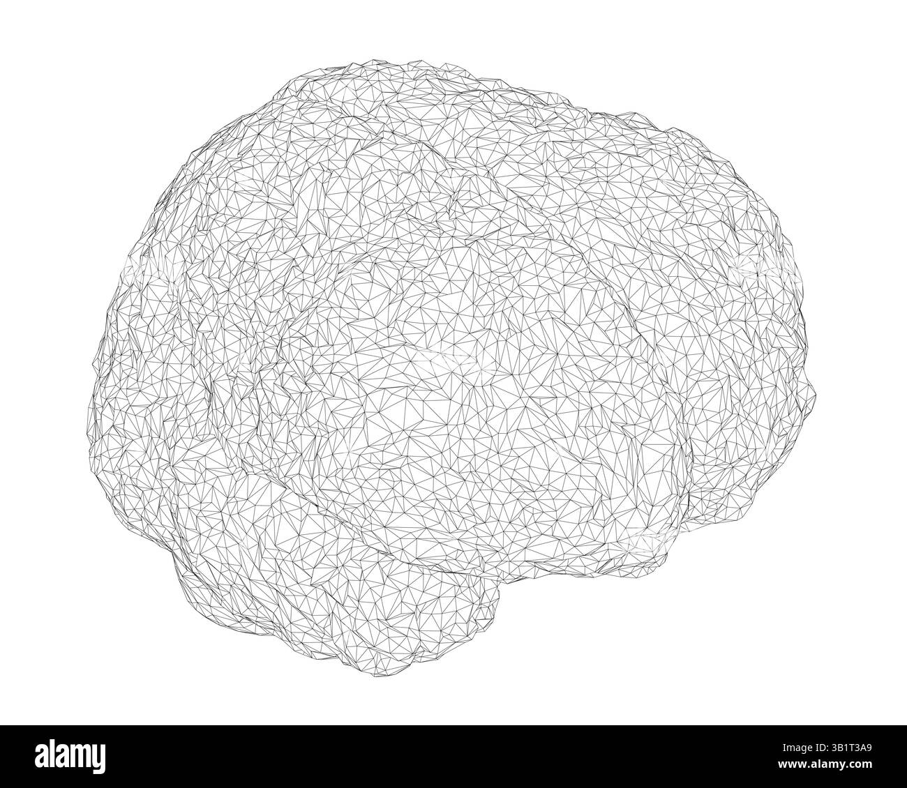 Un cerveau est représenté dans une illustration en noir et blanc. Le cerveau est montré de manière très détaillée, avec de nombreux petits points et lignes. Concept de complexit Illustration de Vecteur