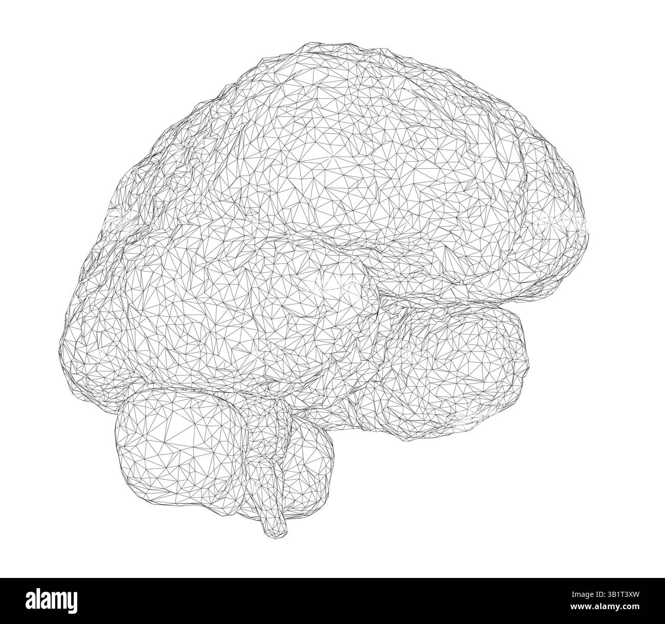 Un cerveau est représenté dans un dessin en noir et blanc. Le dessin représente un cerveau avec de nombreuses lignes et points. Le cerveau est montré de manière très détaillée, avec Illustration de Vecteur