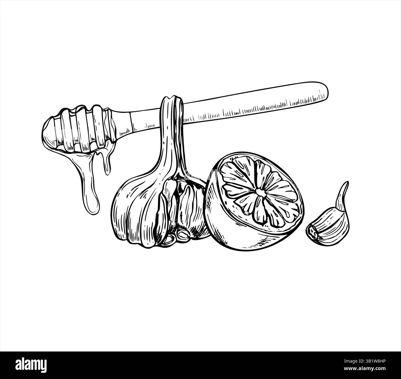 Miel bâton traditionnel avec sirop goutte à goutte, ail et agrumes illustration vectorielle dessinée à la main peinte par des encres noires. Des produits sains naturels Illustration de Vecteur