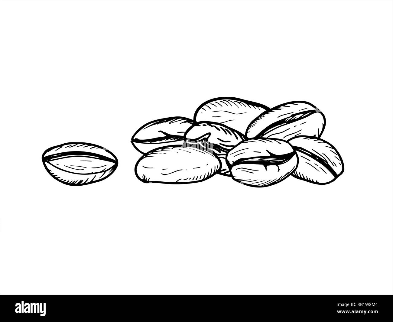 Illustration vectorielle de pile de grains de café torréfiés monochrome peinte par des encres noires dans un style réaliste. Grains organiques avec textures détaillées. Illustration de Vecteur